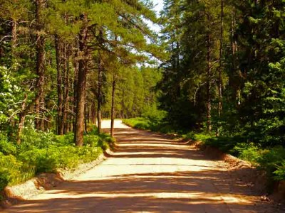 AAA Road before mine AAA Road before mine