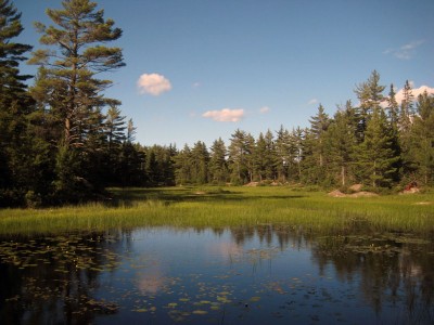 lower-lake-size-standard-1 lower-lake-size-standard-1