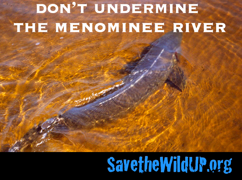 meme-dont-undermine-menominee-sturgeon